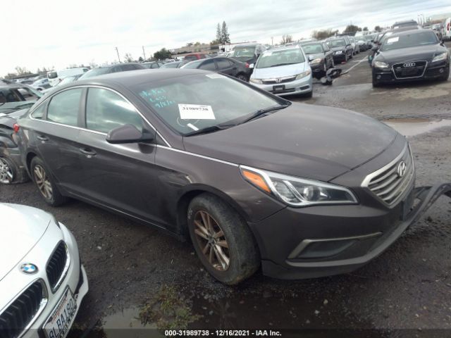 HYUNDAI SONATA 2016 5npe24af7gh326871