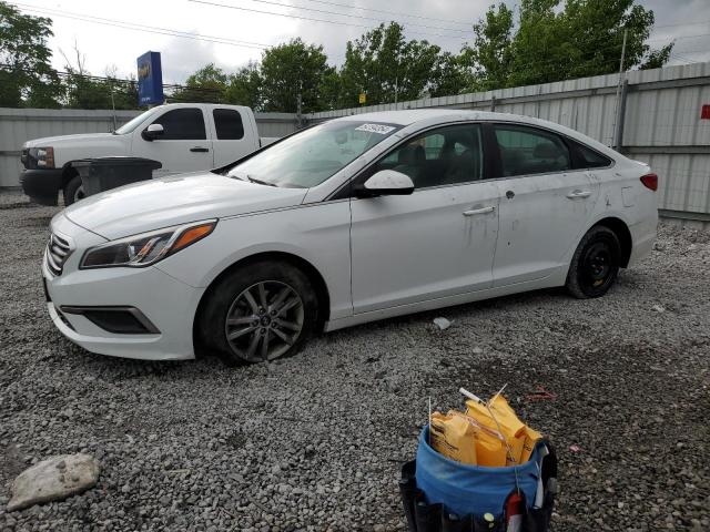 HYUNDAI SONATA 2016 5npe24af7gh327096