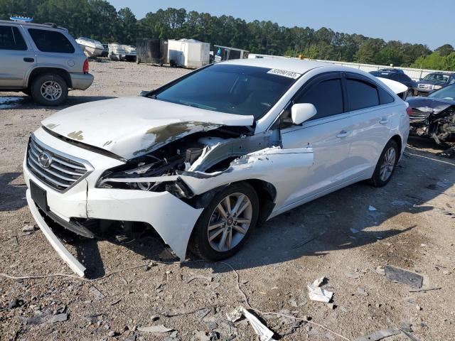 HYUNDAI SONATA SE 2016 5npe24af7gh327552