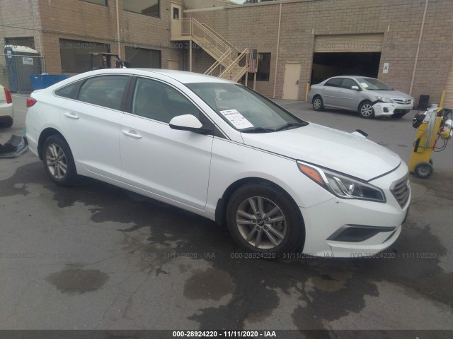 HYUNDAI SONATA 2016 5npe24af7gh333027