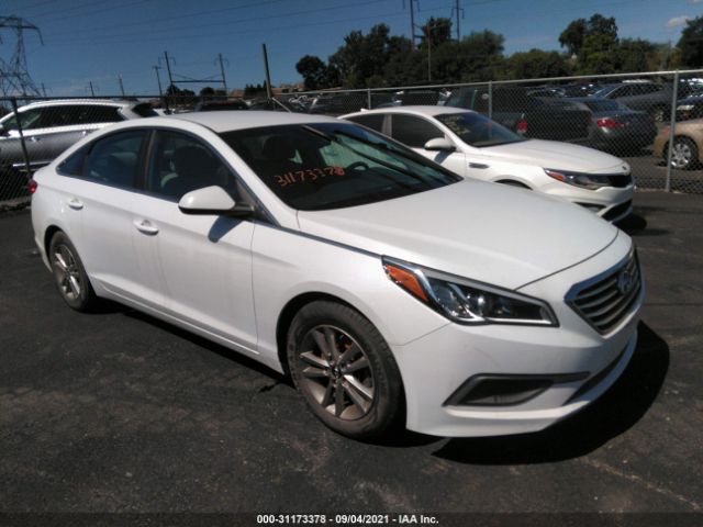 HYUNDAI SONATA 2016 5npe24af7gh339197