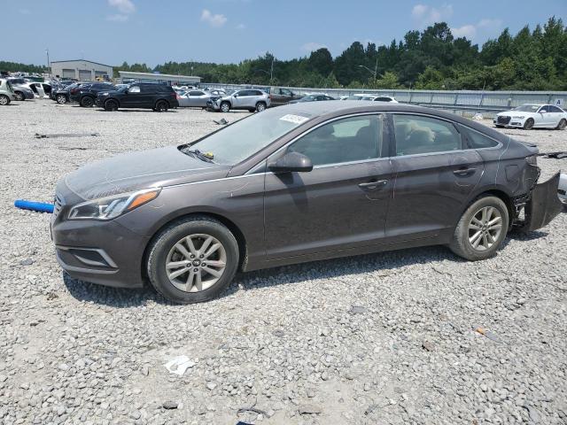 HYUNDAI SONATA 2016 5npe24af7gh339460