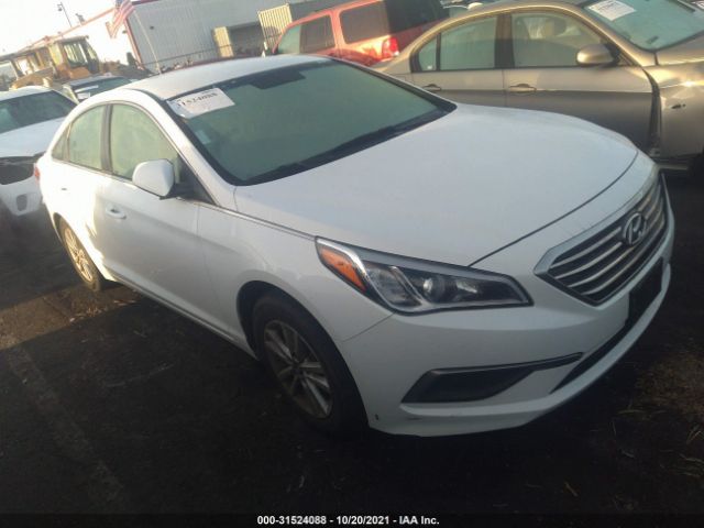 HYUNDAI SONATA 2016 5npe24af7gh345579