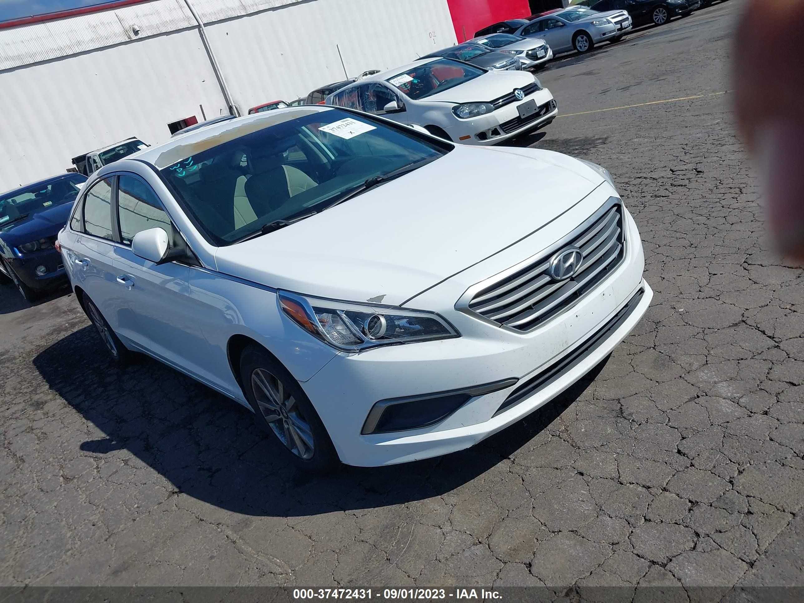 HYUNDAI SONATA 2016 5npe24af7gh345873