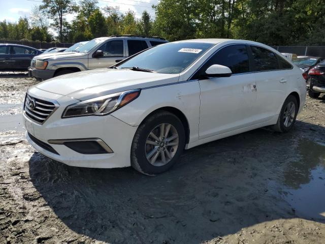 HYUNDAI SONATA SE 2016 5npe24af7gh350815