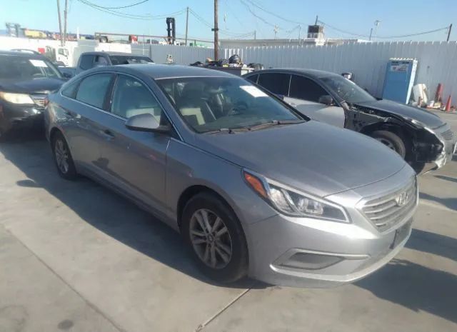 HYUNDAI SONATA 2016 5npe24af7gh353892