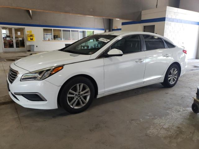 HYUNDAI SONATA 2016 5npe24af7gh356338