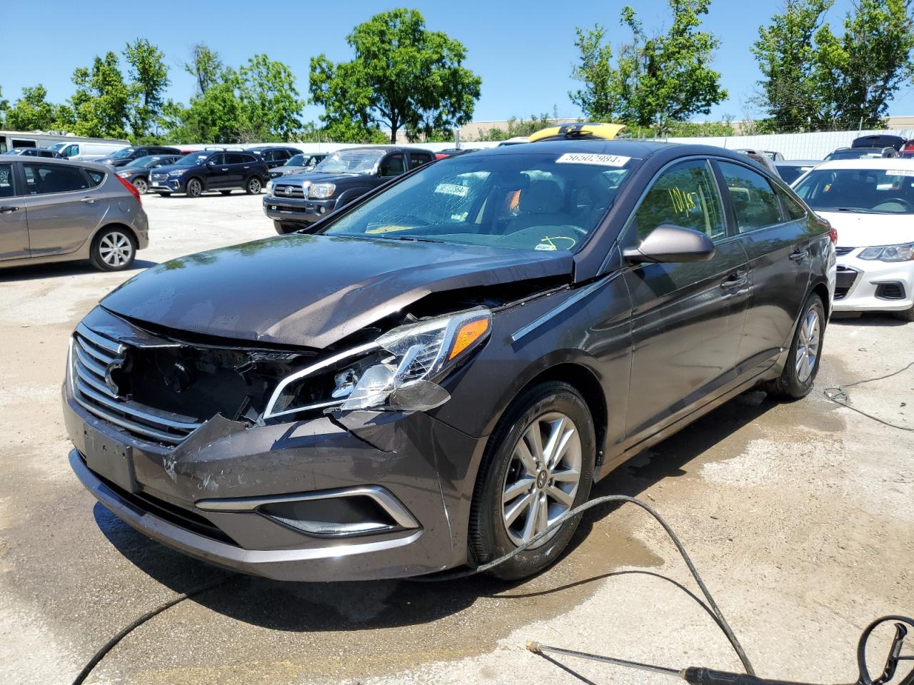 HYUNDAI SONATA 2016 5npe24af7gh356906