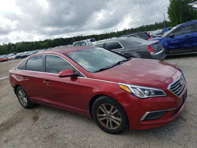 HYUNDAI SONATA SE 2016 5npe24af7gh357179