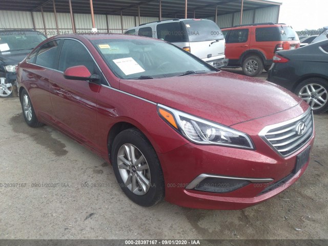 HYUNDAI SONATA 2016 5npe24af7gh360552