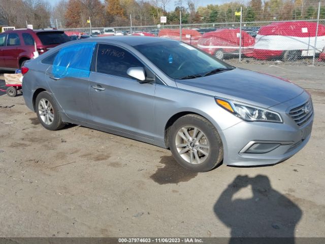 HYUNDAI SONATA 2016 5npe24af7gh362513