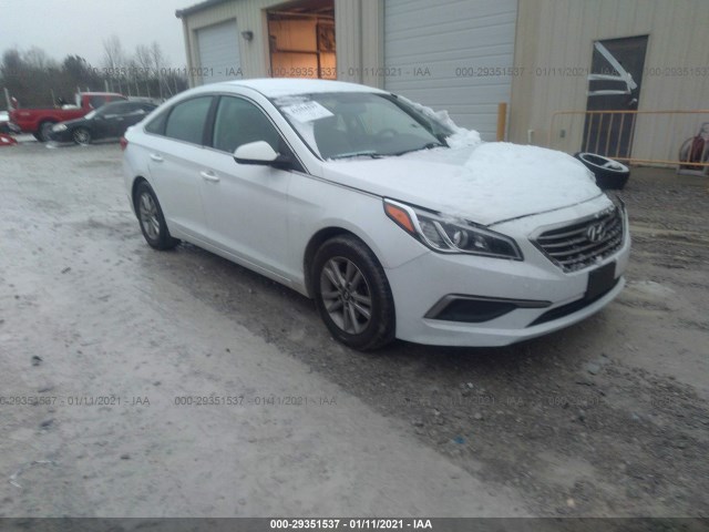 HYUNDAI SONATA 2016 5npe24af7gh362771