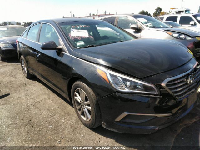 HYUNDAI SONATA 2016 5npe24af7gh367839