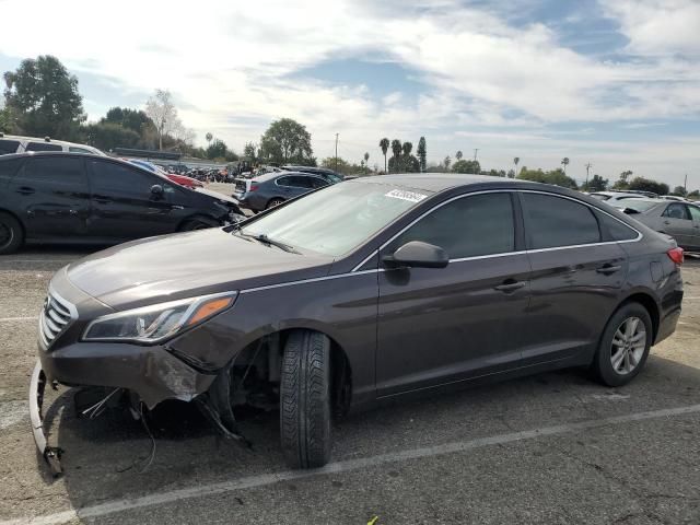 HYUNDAI SONATA 2016 5npe24af7gh372748