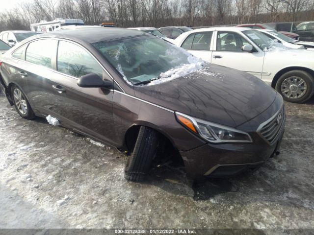 HYUNDAI SONATA 2016 5npe24af7gh379845