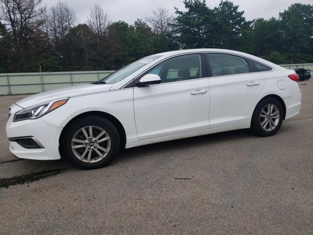 HYUNDAI SONATA SE 2016 5npe24af7gh380347