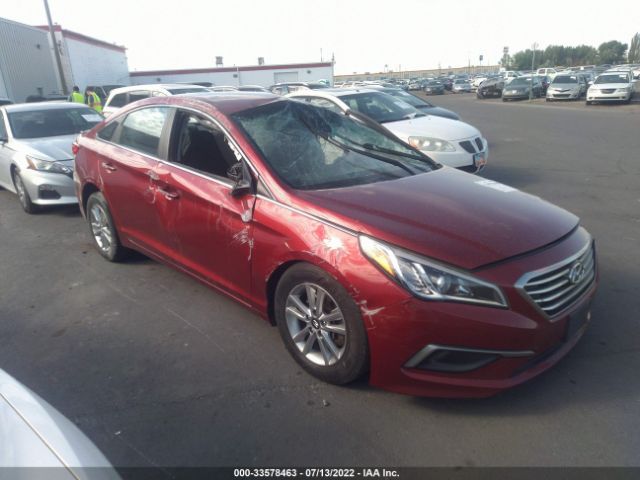 HYUNDAI SONATA 2016 5npe24af7gh385127