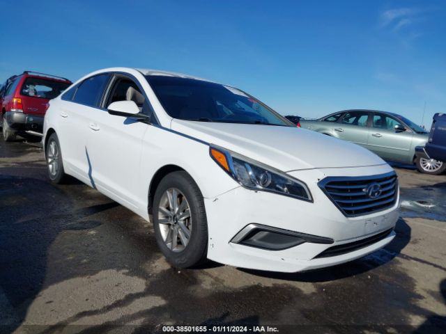 HYUNDAI SONATA 2016 5npe24af7gh392997