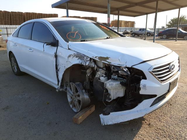 HYUNDAI SONATA SE 2016 5npe24af7gh398282