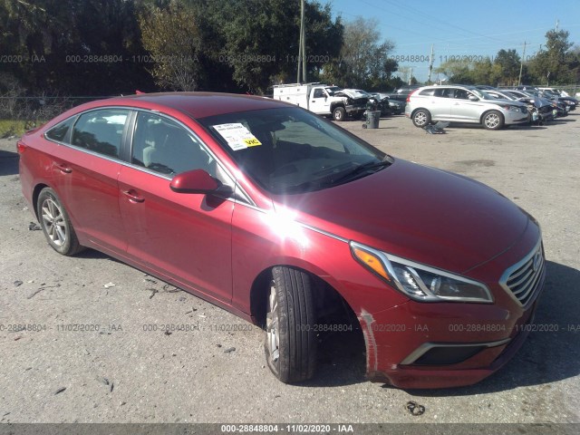 HYUNDAI SONATA 2016 5npe24af7gh406056