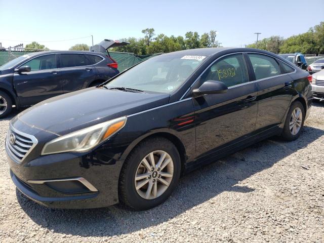 HYUNDAI SONATA 2016 5npe24af7gh406266