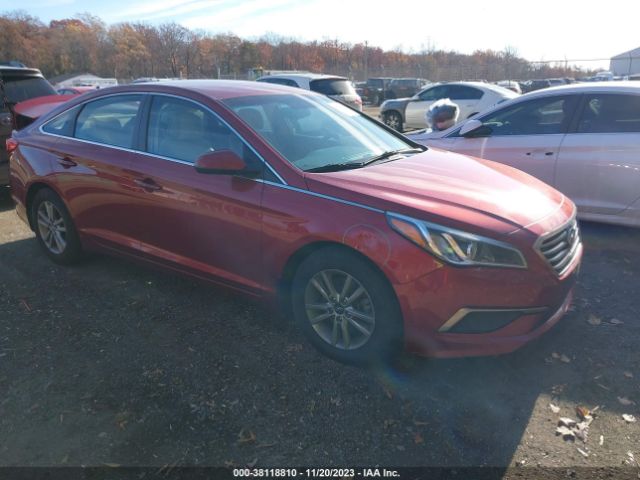 HYUNDAI SONATA 2016 5npe24af7gh407868