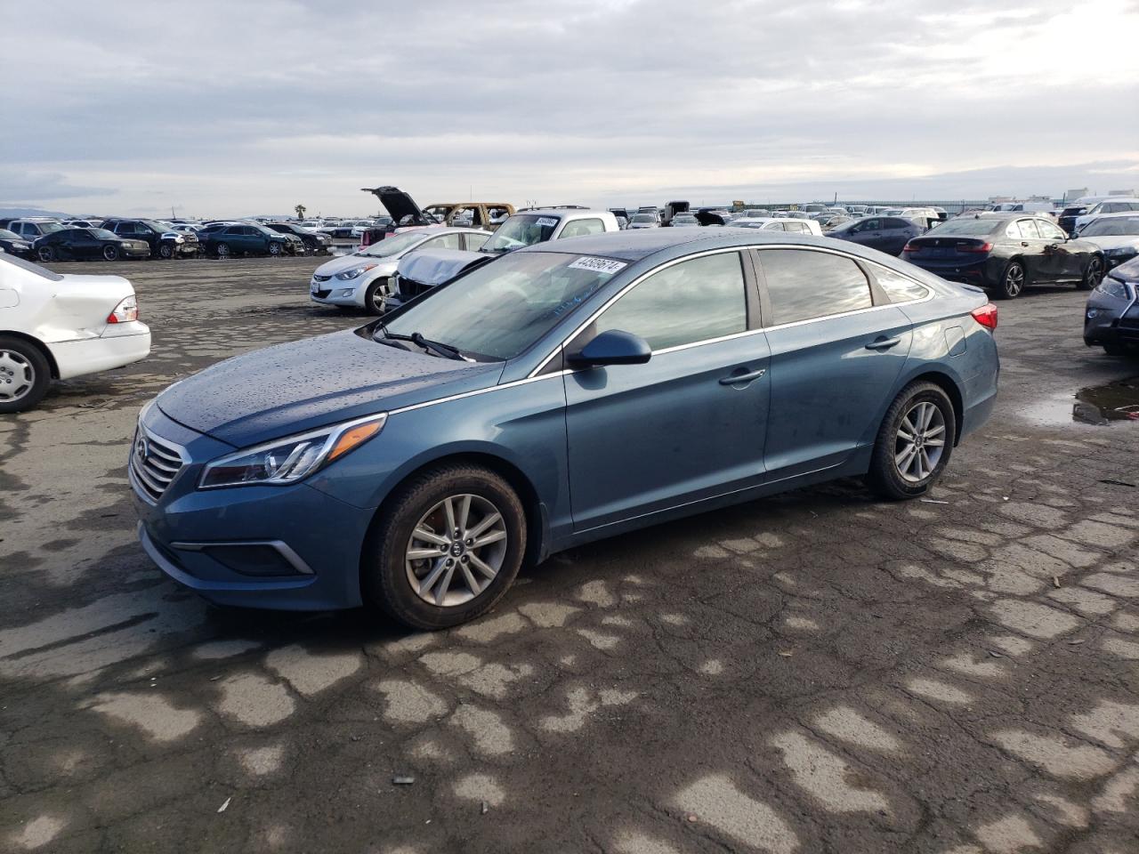 HYUNDAI SONATA 2016 5npe24af7gh410897