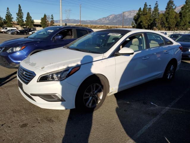 HYUNDAI SONATA 2016 5npe24af7gh431071