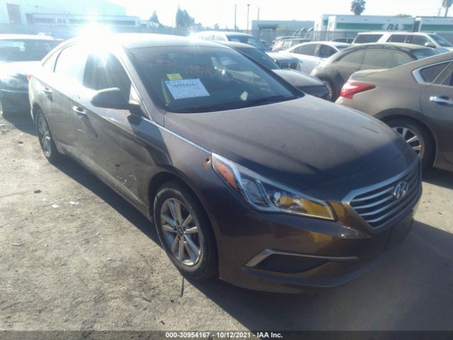 HYUNDAI SONATA 2016 5npe24af7gh432270