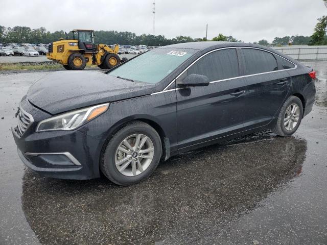 HYUNDAI SONATA 2017 5npe24af7hh442556