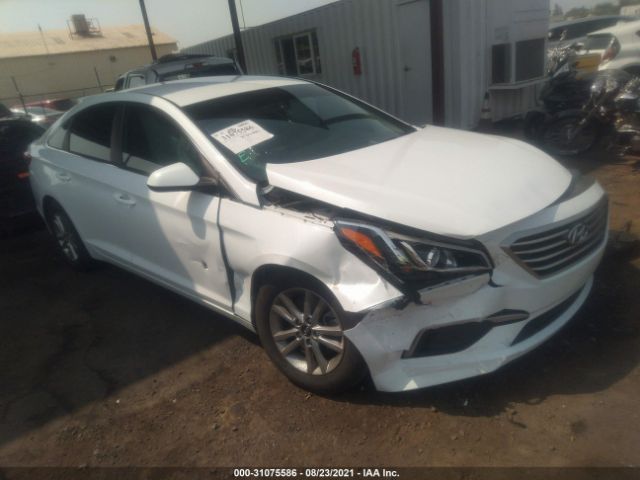 HYUNDAI SONATA 2017 5npe24af7hh451516