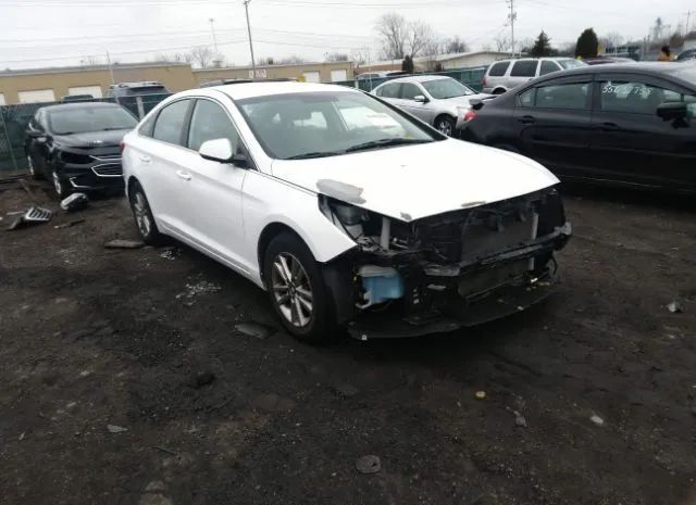 HYUNDAI SONATA 2017 5npe24af7hh460345