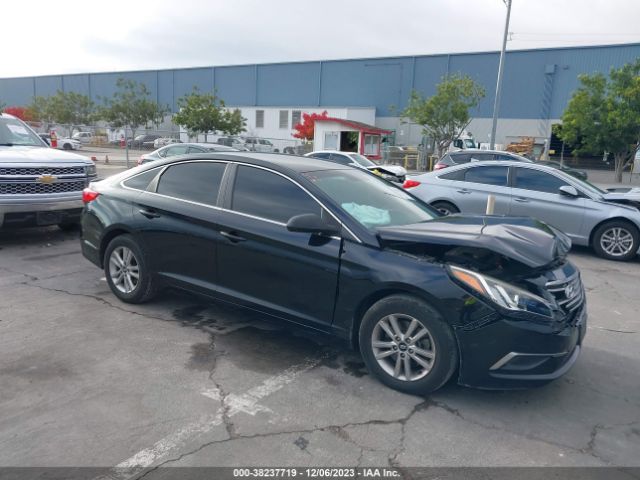 HYUNDAI SONATA 2017 5npe24af7hh464184