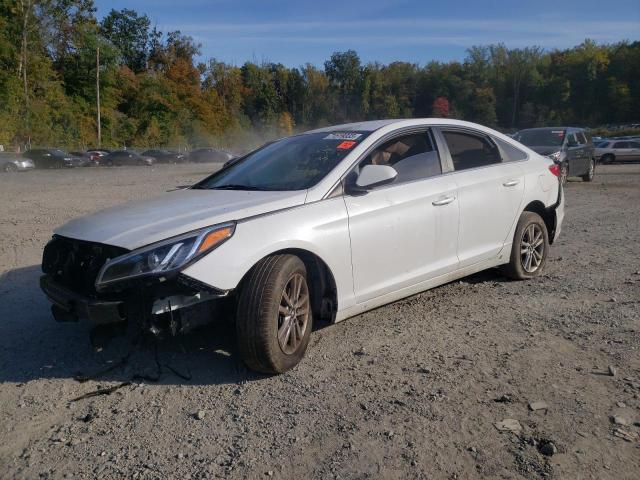 HYUNDAI SONATA 2017 5npe24af7hh491417