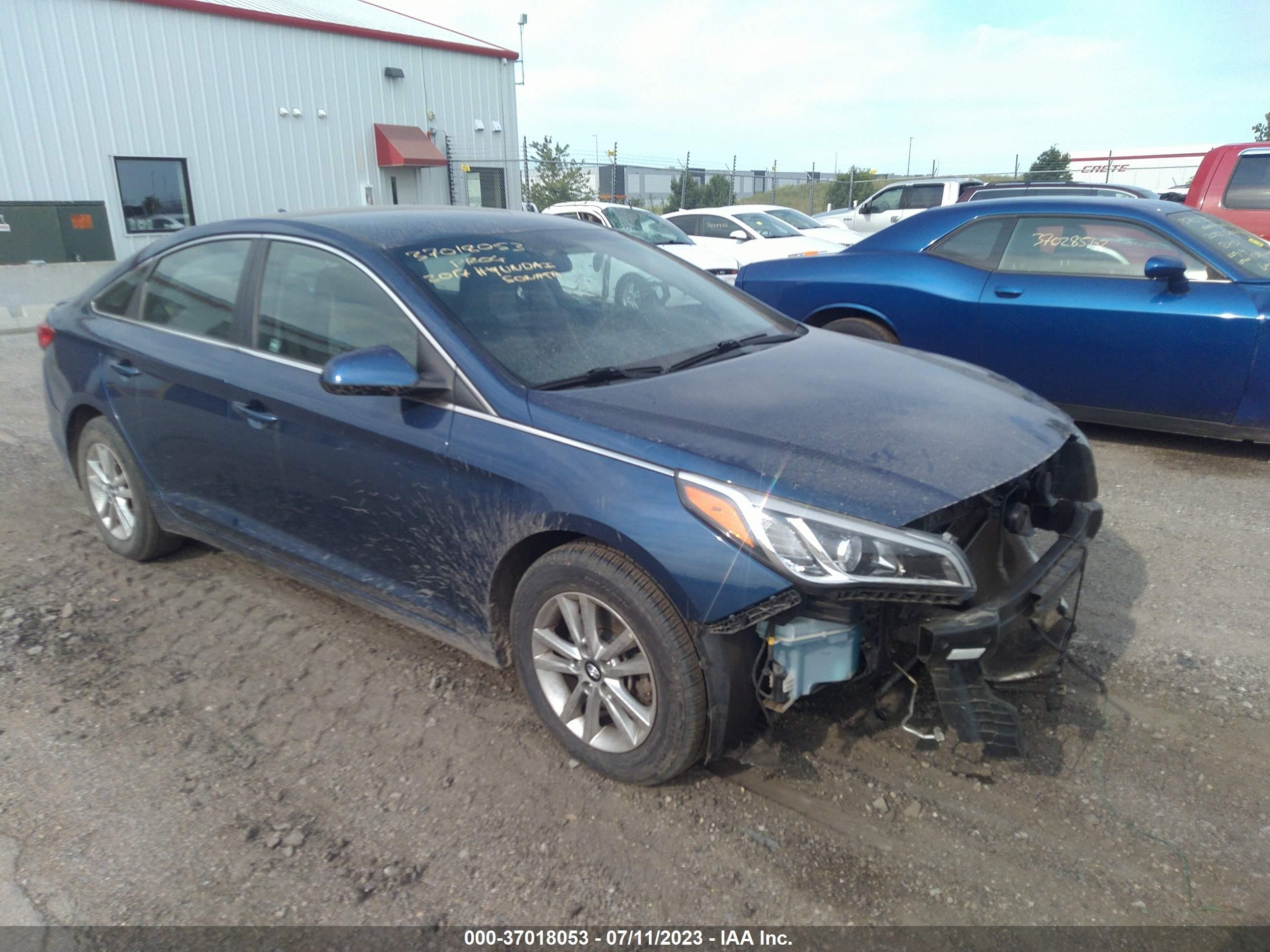 HYUNDAI SONATA 2017 5npe24af7hh494267