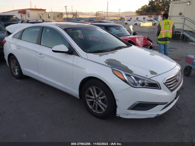 HYUNDAI SONATA 2017 5npe24af7hh498156