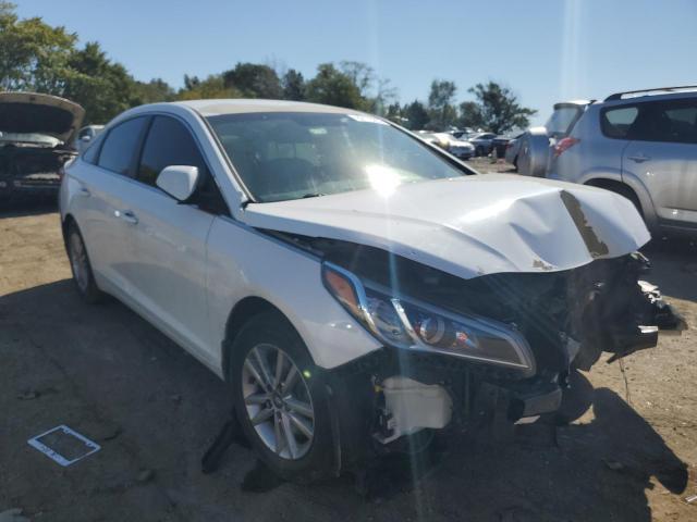 HYUNDAI SONATA 2017 5npe24af7hh511570