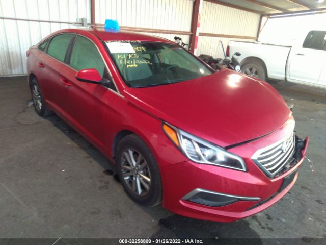 HYUNDAI SONATA 2017 5npe24af7hh518194