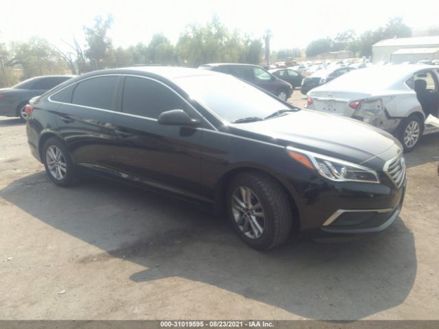 HYUNDAI SONATA 2017 5npe24af7hh523542