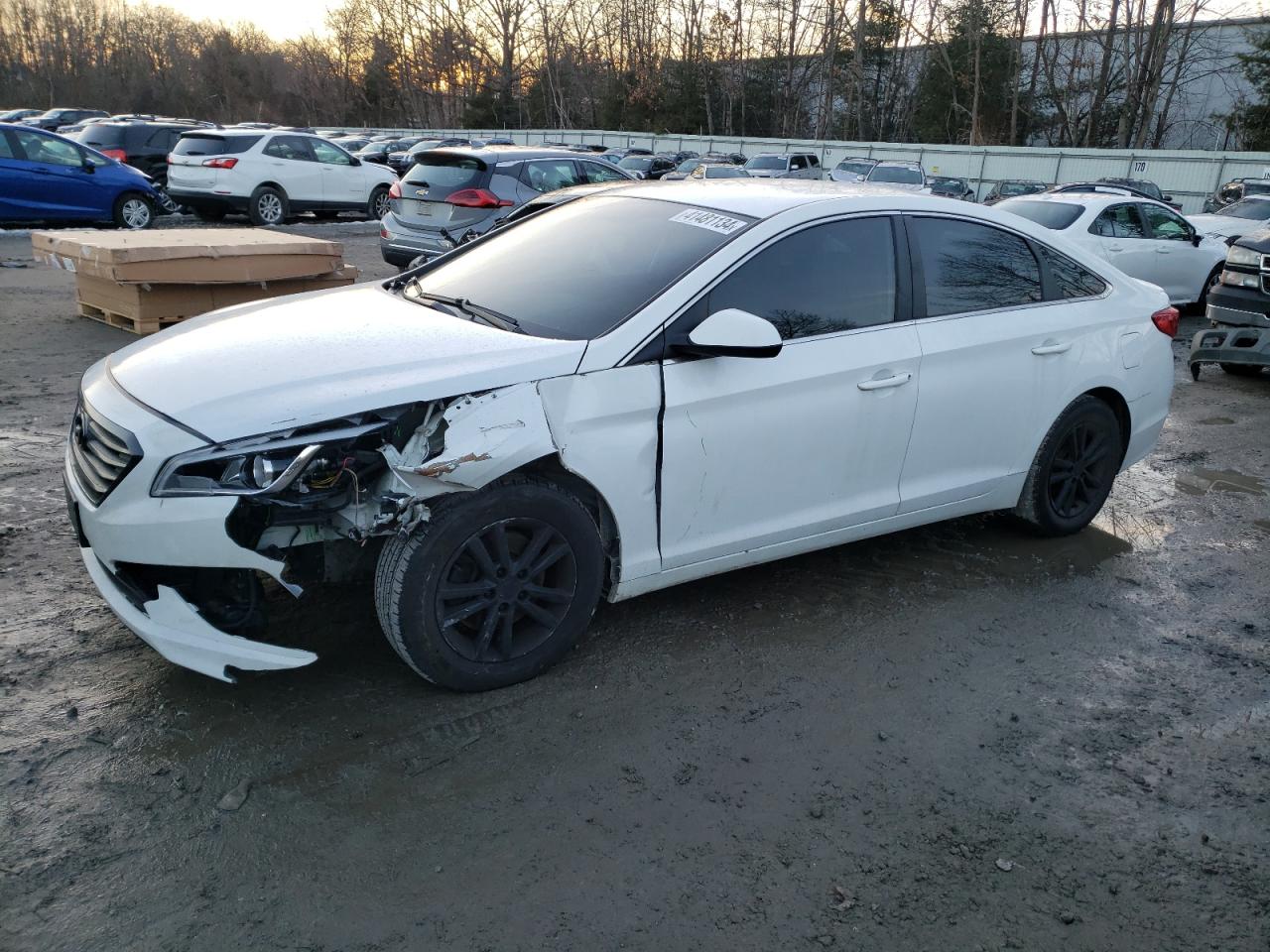 HYUNDAI SONATA 2017 5npe24af7hh548893