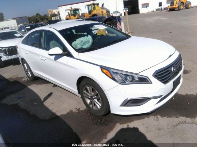 HYUNDAI SONATA 2017 5npe24af7hh556573