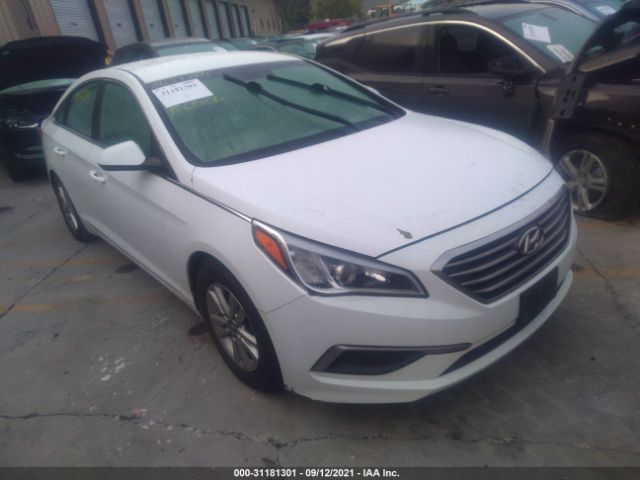 HYUNDAI SONATA 2017 5npe24af7hh557352