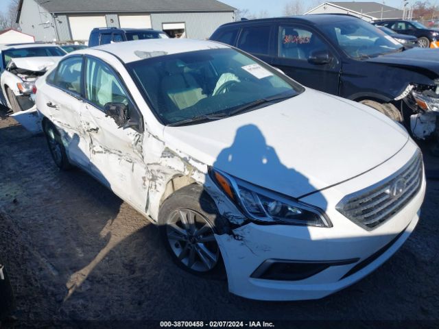 HYUNDAI SONATA 2017 5npe24af7hh565600