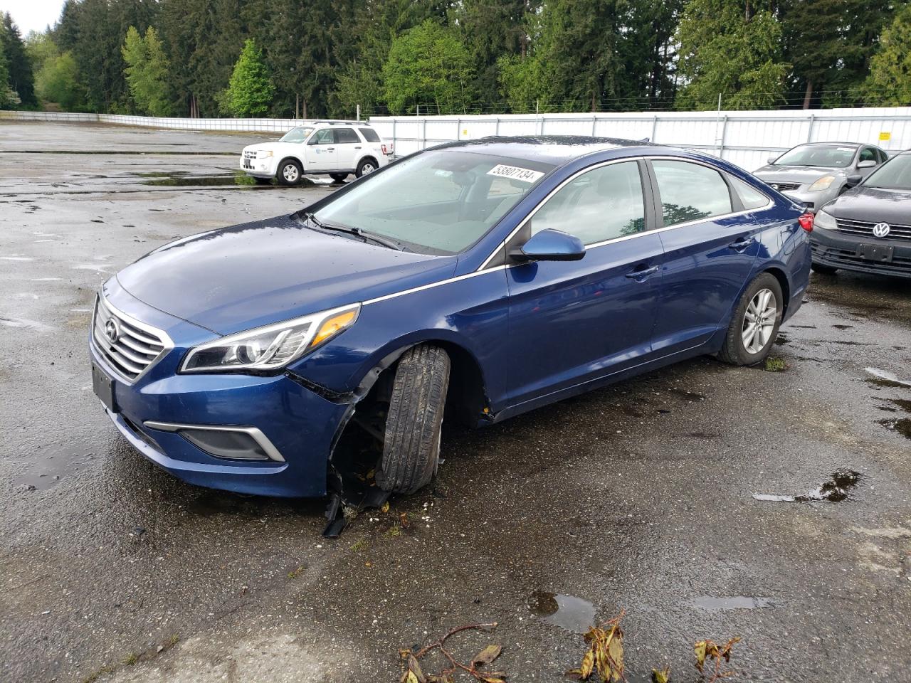 HYUNDAI SONATA 2017 5npe24af7hh565869