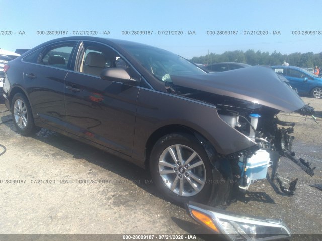 HYUNDAI SONATA 2017 5npe24af7hh569629