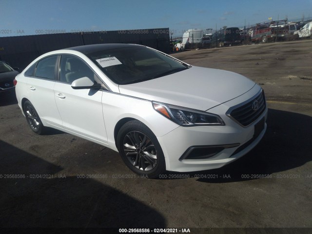 HYUNDAI SONATA 2017 5npe24af7hh570201