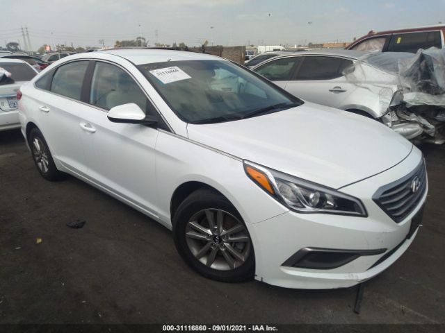 HYUNDAI SONATA 2017 5npe24af7hh575057