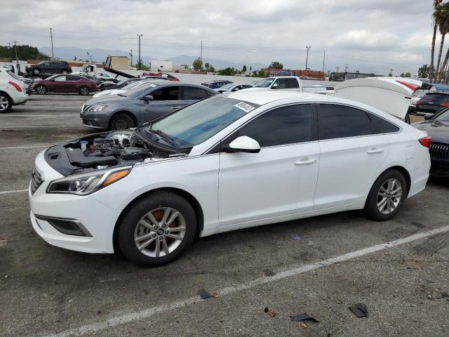 HYUNDAI SONATA SE 2017 5npe24af7hh582249