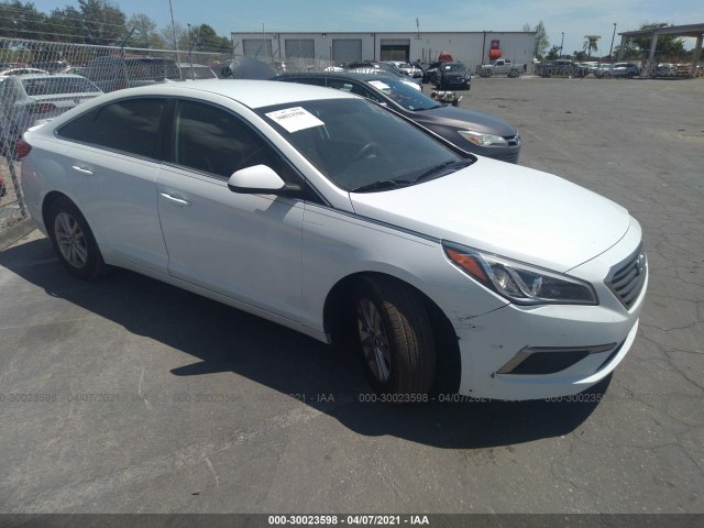 HYUNDAI SONATA 2017 5npe24af7hh590223