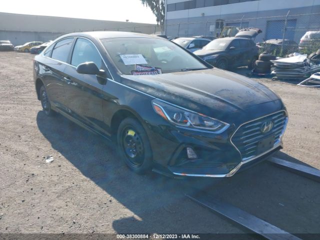 HYUNDAI SONATA 2018 5npe24af7jh607883